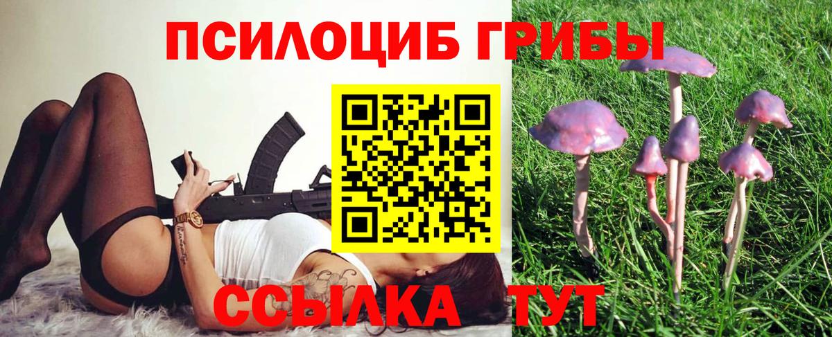 Галлюциногенные грибы Cubensis  Галлюциногенные грибы Psilocybine cubensis  где купить наркоту  Вход с VPN  Балашов 