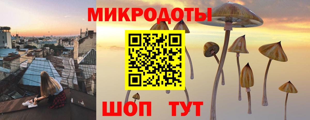 Псилоцибиновые грибы MAGIC MUSHROOMS Балашов